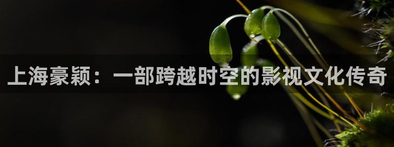 草莓冰淇淋做法视频：上海豪颖：一部跨越时空的影视文化传奇