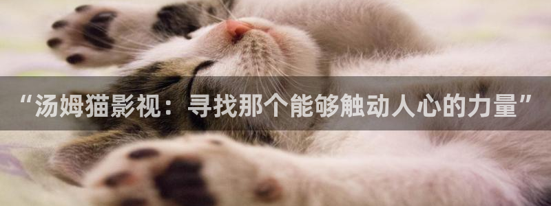 草莓视频 magnet：“汤姆猫影视：寻找那个能够触动人心的力量”