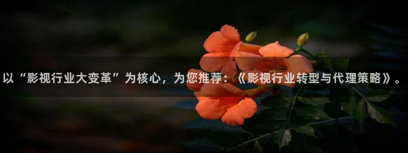草莓视频,下载：以“影视行业大变革”为核心，为您推荐：《影视行业转型与代理策略》。