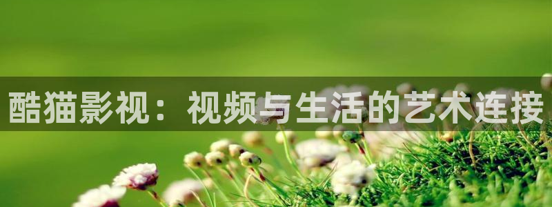 草莓视频最新地址：酷猫影视：视频与生活的艺术连接