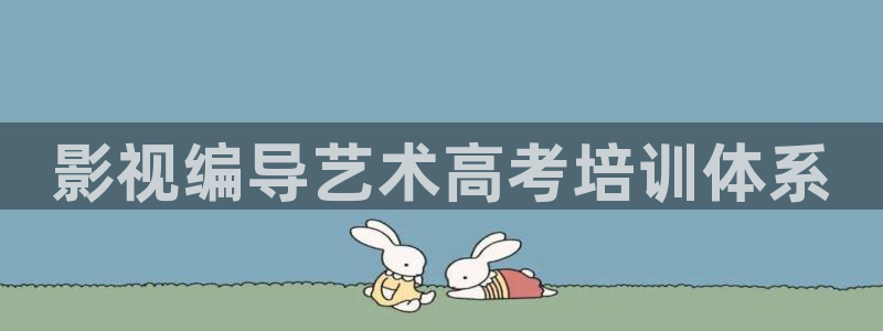 aavvmm草莓视频：影视编导艺术高考培训体系