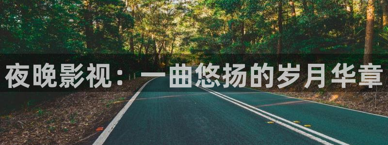 草莓动漫视频：夜晚影视：一曲悠扬的岁月华章