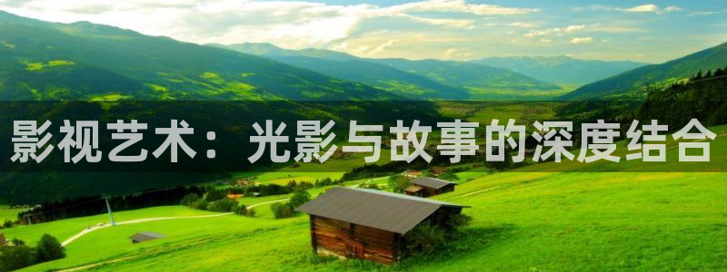 草莓视频d：影视艺术：光影与故事的深度结合
